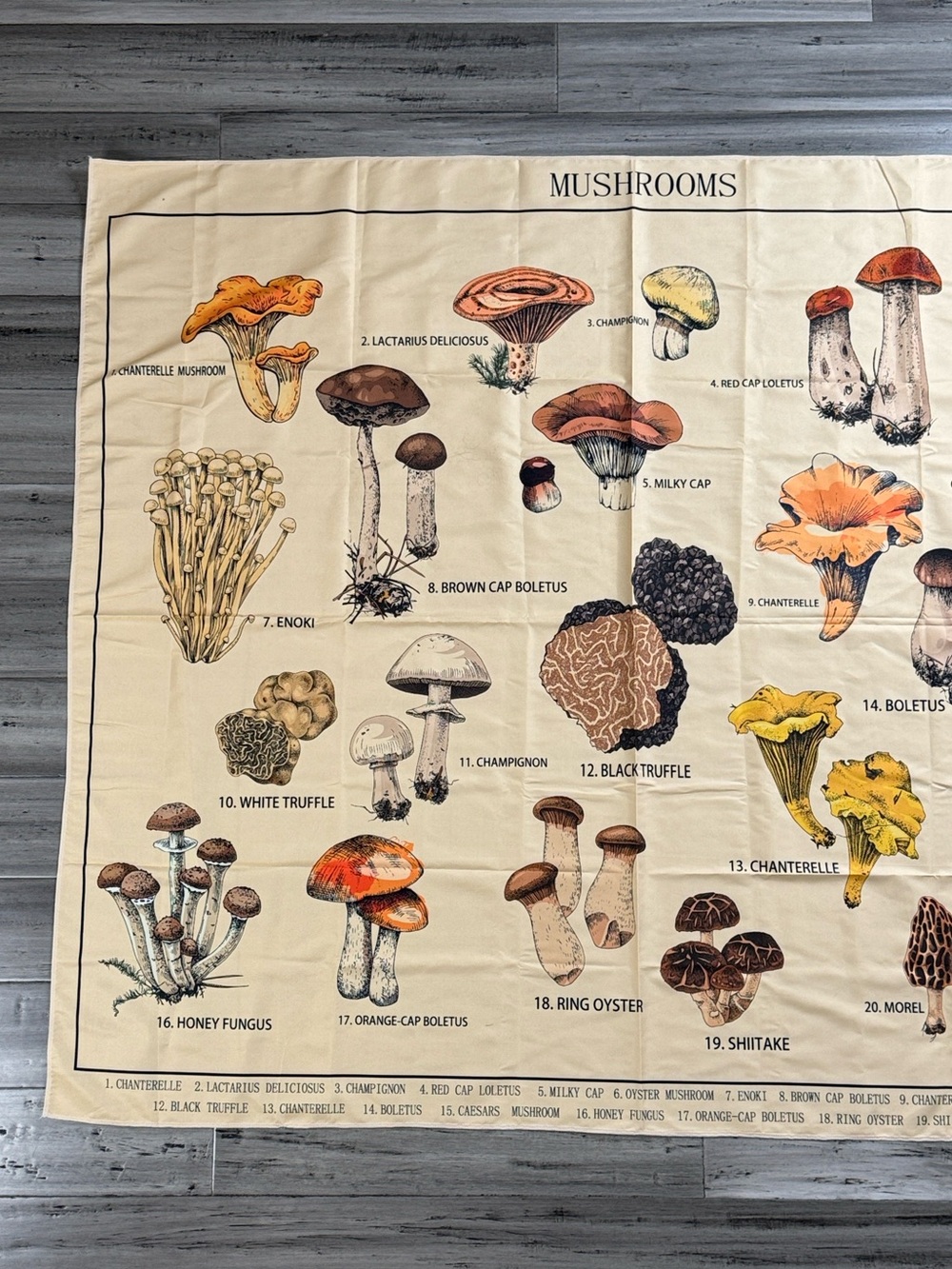 MUSHROOM BOTANICAL FABRIC WALL HANGING 58.5” x 50” COTTAGECORE FUNGI - Picture 2 of 11